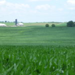 Farmland disappearance linked to low-density housing