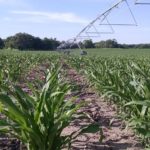 Another good week for Nebraska’s crops