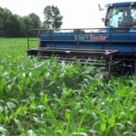 New and improved ways to seed cover crops in Upper Midwest