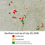 Southern Rust confirmed in eight states