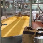 U.S. cheese production up in July