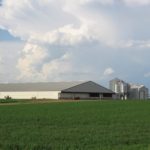 Nebraska is a ‘prime target’ for hog expansion