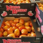 Tomato growers hope new rules will bring relief