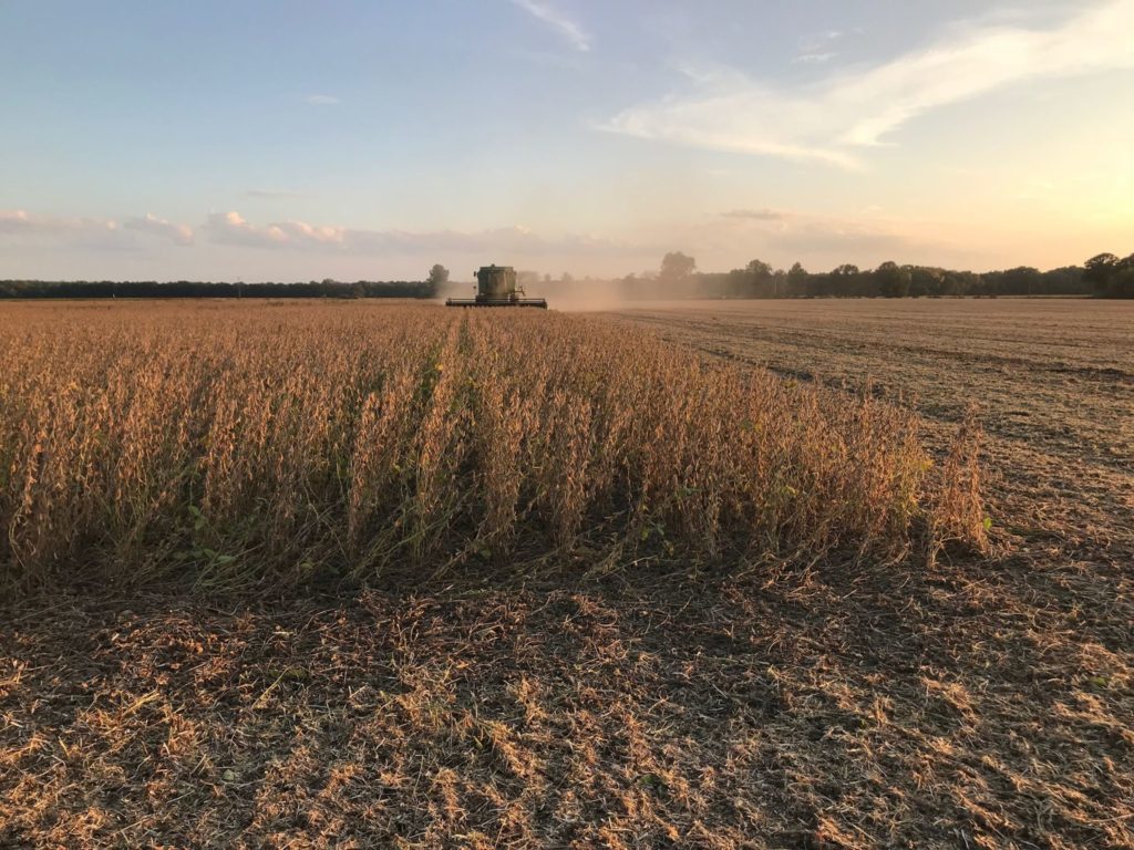 Minnesota crops remain about 2 weeks behind Brownfield Ag News
