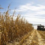 MO corn harvest picks up the pace