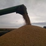 Wisconsin harvest, fieldwork moving slowly in wet soils