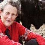 Temple Grandin to speak at Missouri Livestock Symposium