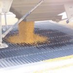 Iowa’s corn harvest is at 77%