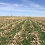 AFT works to increase cover crops on rented lands