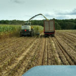 Silage harvest picking up in Wisconsin as dry conditions continue