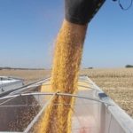 South Dakota corn harvest off to good start