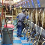 Dairy cooperative hopes labor bill passes lame-duck Congress session