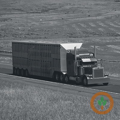 Illinois Pork offers CDL Scholarship Program to help address driver shortage – Brownfield Ag News