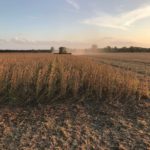 Tennessee harvest update: corn 26%, soybeans 11% harvested