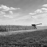 Corn harvest winding down in Tennessee