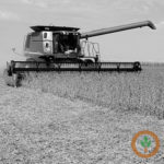 3% of Ohio soybeans harvested