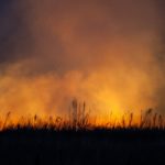Kansas Wildfire Taskforce expected to release strategic plan in October