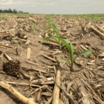 Dry week means progress in Michigan fields