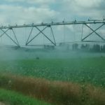World’s largest aquifer not at risk of depletion, supportive for crop production