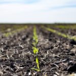 Amid uncertainty in the world’s fertilizer supply, Nutrien announces capacity expansion