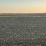 Storms have effect on Nebraska crop conditions as planting wraps up