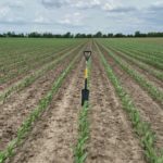 USDA says corn planting nearly wrapped up in Nebraska