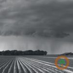 Mother Nature sends relief for a farmer in Northeast Nebraska