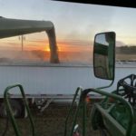 Missouri harvests slow to pick up
