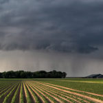 Rains improve Illinois crop conditions