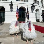 Turkeys visit the White House in honor of Thanksgiving