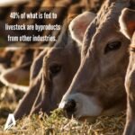 Animal Ag Alliance breaks down sustainability efforts for Earth Day