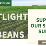 Support our soybean survey