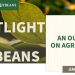 An outlook on agriculture